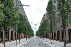 Le albere